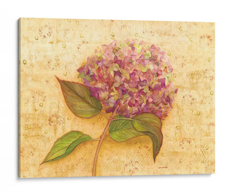 Hydrangea Amor I - Wendy Russell | Cuadro decorativo de Canvas Lab