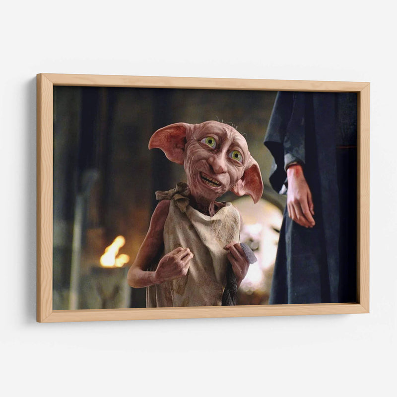 Dobby emocionado | Cuadro decorativo de Canvas Lab