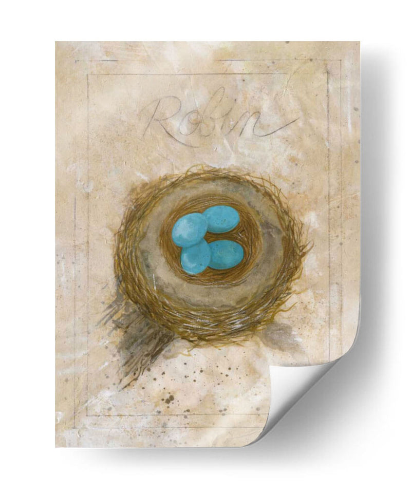 Nest - Robin - Elissa Della-Piana | Cuadro decorativo de Canvas Lab