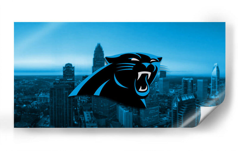 Carolina Panthers | Cuadro decorativo de Canvas Lab