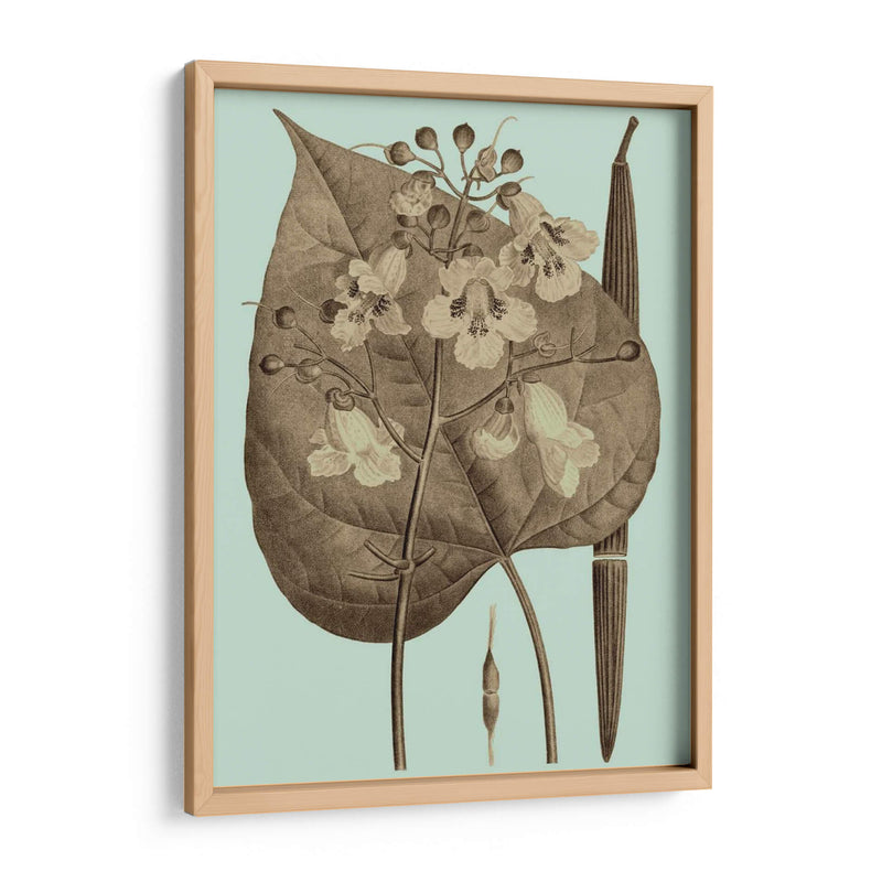 Árboles Florecientes Ii - Vision Studio | Cuadro decorativo de Canvas Lab