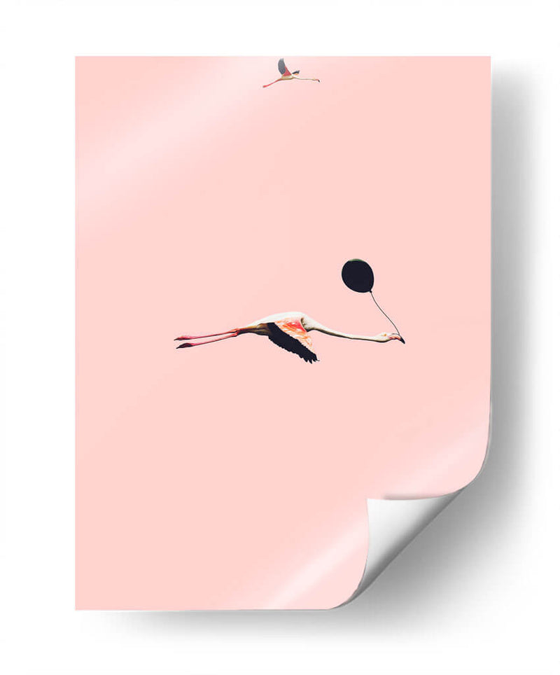 Vuela flamingo | Cuadro decorativo de Canvas Lab