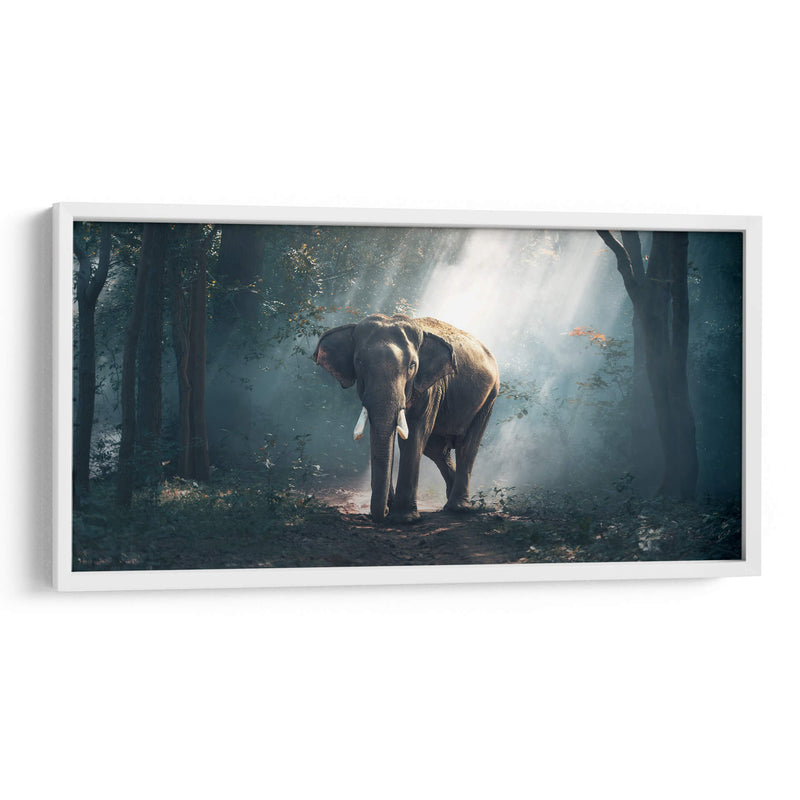 Elefante en el bosque | Cuadro decorativo de Canvas Lab