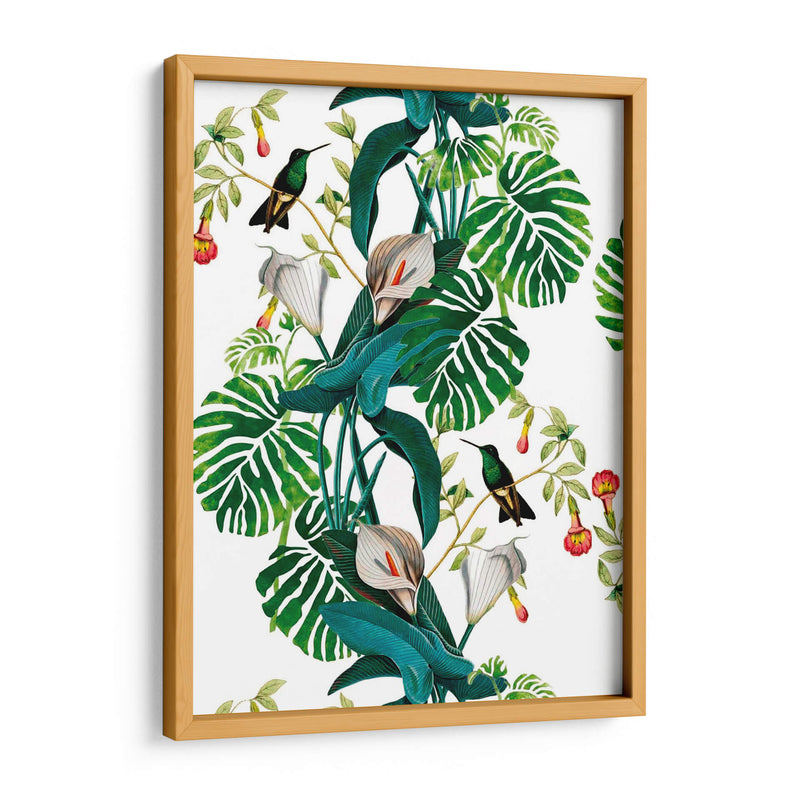 Plantas colibrí | Cuadro decorativo de Canvas Lab