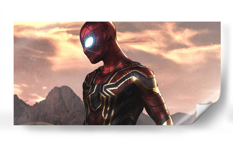Iron Spider-Man | Cuadro decorativo de Canvas Lab
