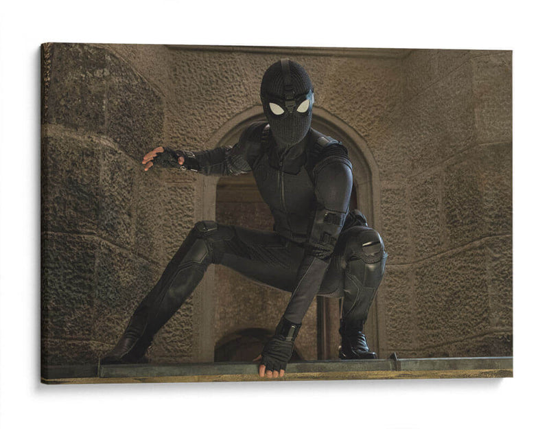 Stealth Spider-Man | Cuadro decorativo de Canvas Lab