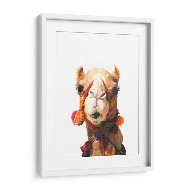 Camello - Alemi | Cuadro decorativo de Canvas Lab