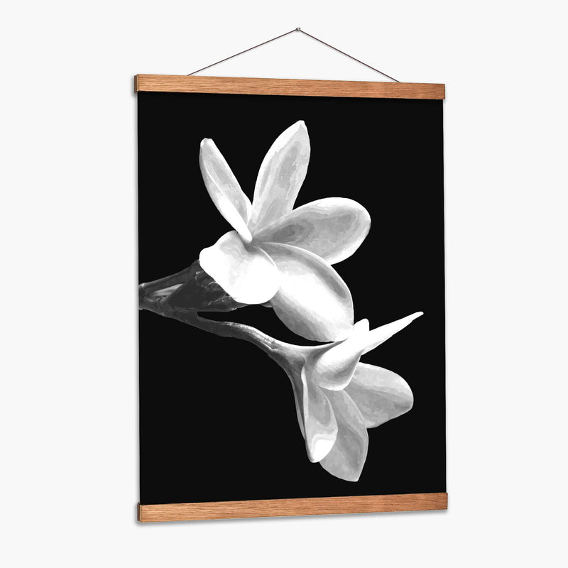 Flores Blancas - Alemi | Cuadro decorativo de Canvas Lab