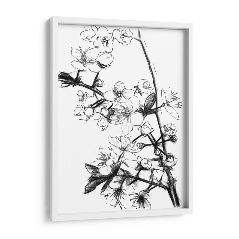Flores de Cerezo Blanco y Negro - Alemi | Cuadro decorativo de Canvas Lab