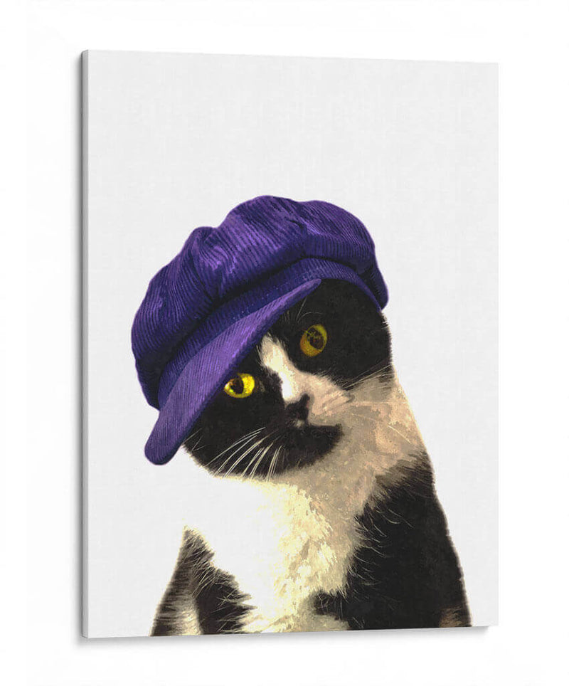 Gato con gorra azul - Alemi | Cuadro decorativo de Canvas Lab