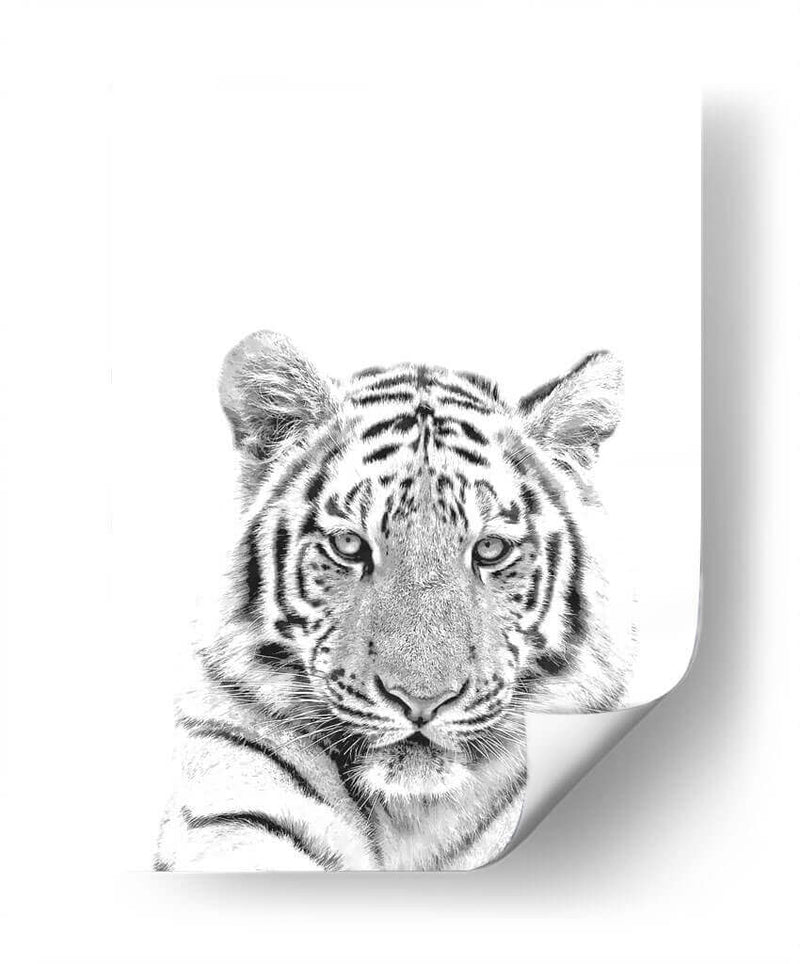 Tigre Blanco y Negro - Alemi | Cuadro decorativo de Canvas Lab