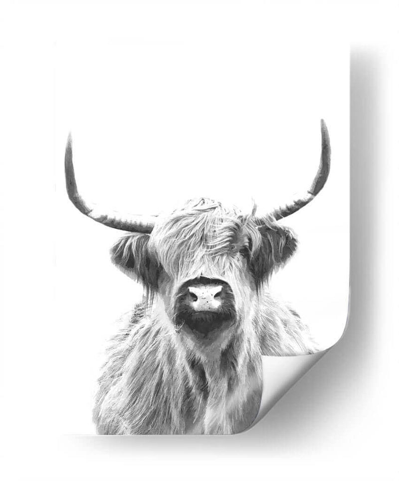 Vaca de las Tierras Altas en Blanco y Negro - Alemi | Cuadro decorativo de Canvas Lab