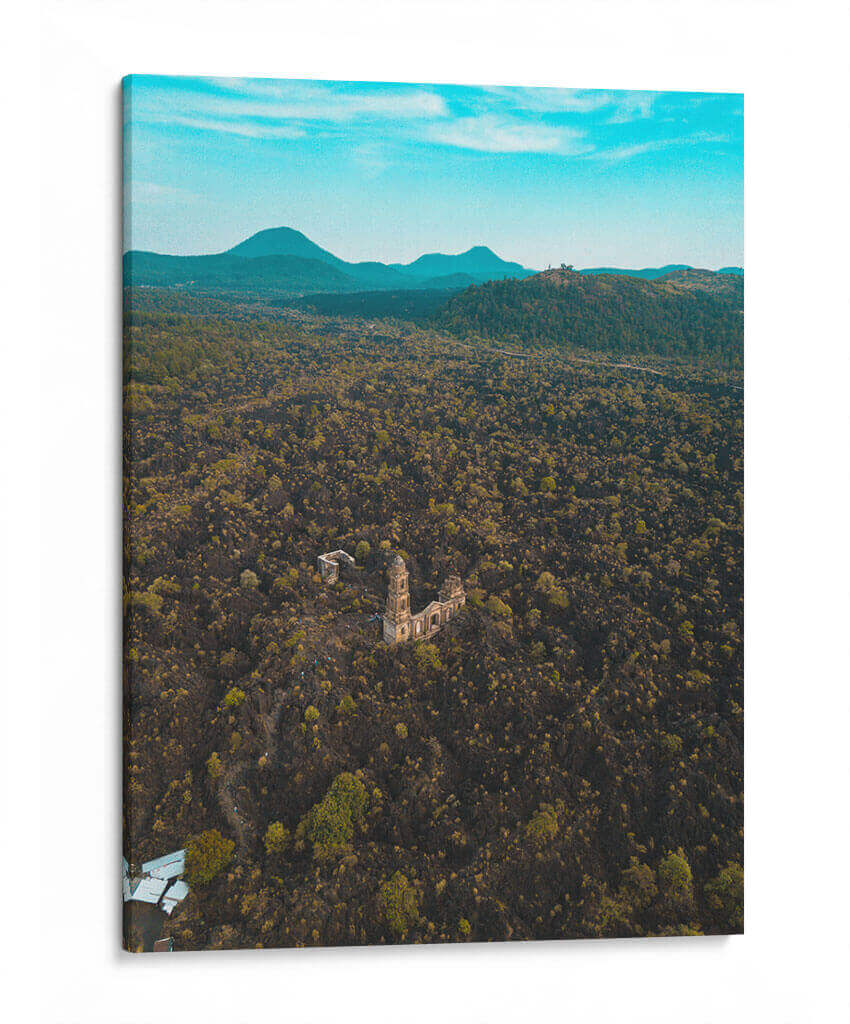 RUINAS DE VOLCÁN PARICUTÍN 2 - MICHOACÁN - Fernando García Cortez | Cuadro decorativo de Canvas Lab