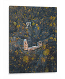 RUINAS DE VOLCÁN PARICUTÍN 3 - MICHAOCÁN - Fernando García Cortez | Cuadro decorativo de Canvas Lab