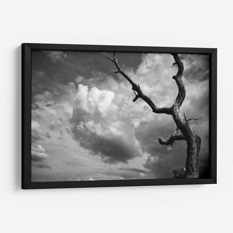 Nubes y Árbol - Marcos Rodríguez | Cuadro decorativo de Canvas Lab