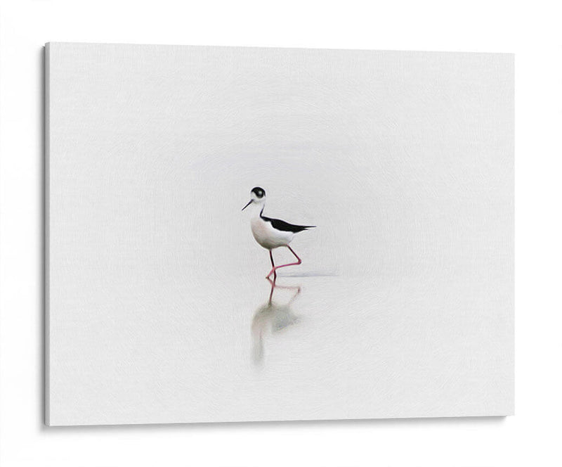 Black necked stilt - Ezdrifter | Cuadro decorativo de Canvas Lab