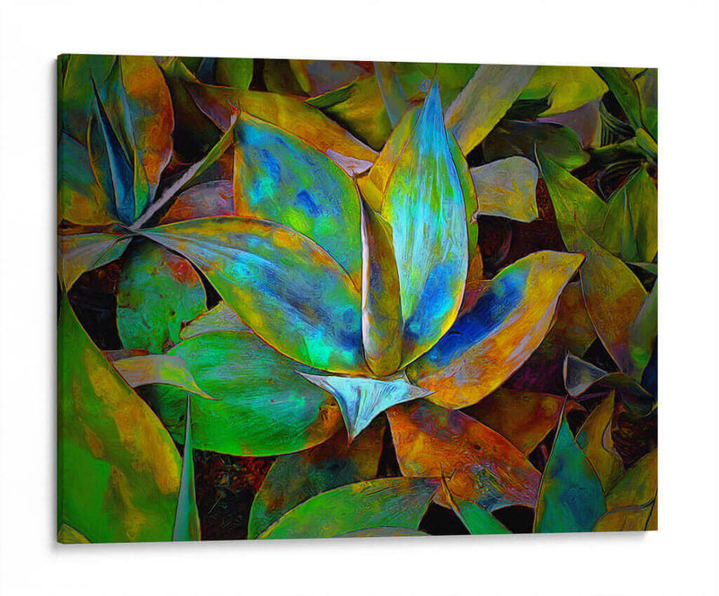 Colored cactus - Ezdrifter | Cuadro decorativo de Canvas Lab