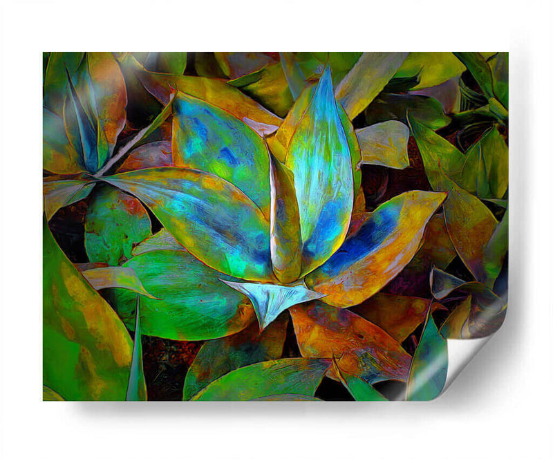 Colored cactus - Ezdrifter | Cuadro decorativo de Canvas Lab
