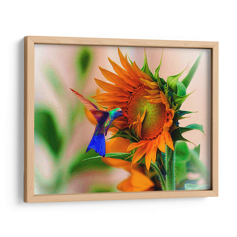 Hummingbird on sunflower - Ezdrifter | Cuadro decorativo de Canvas Lab
