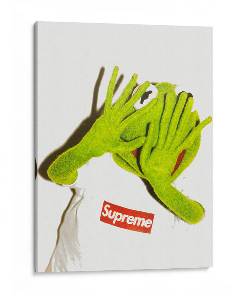 Kermit flash | Cuadro decorativo de Canvas Lab