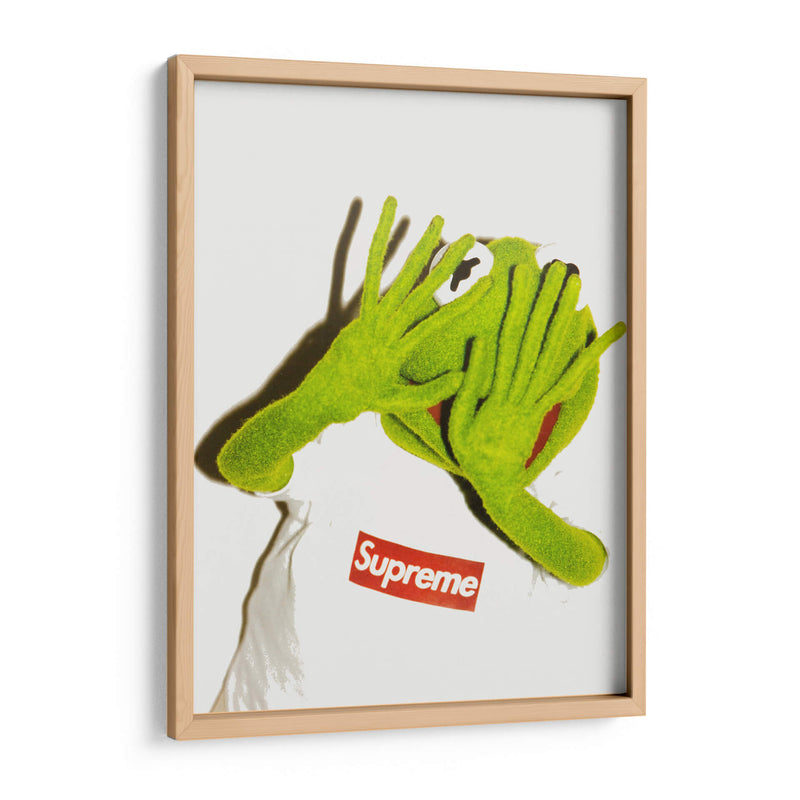 Kermit flash | Cuadro decorativo de Canvas Lab