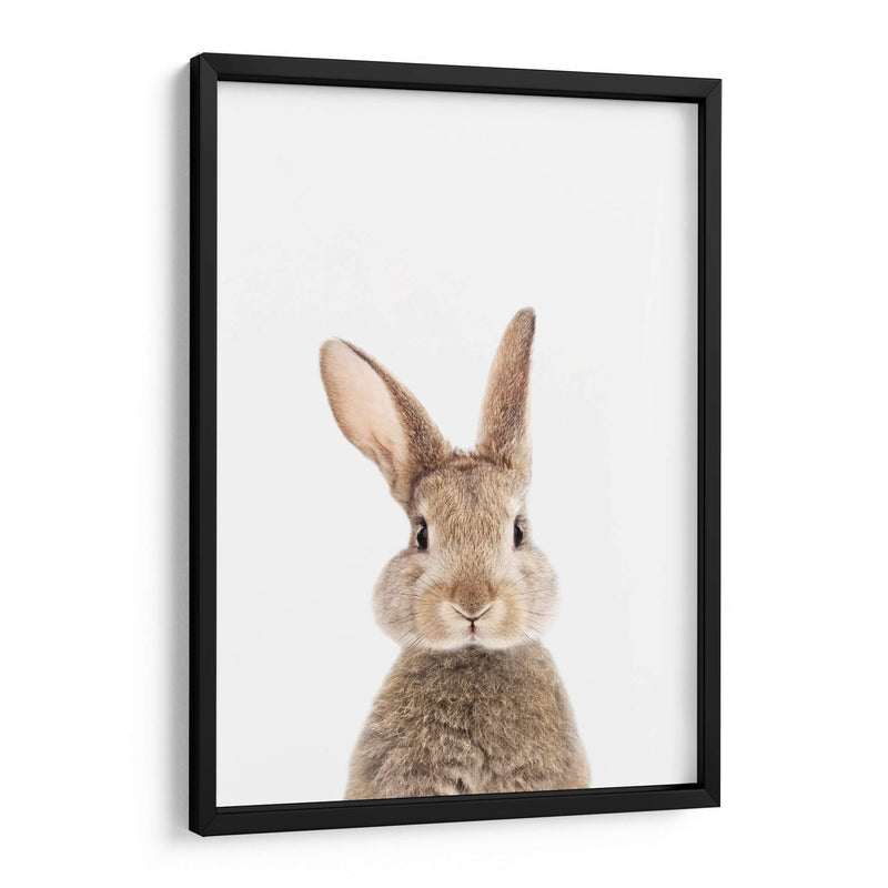 Bunny Front | Cuadro decorativo de Canvas Lab
