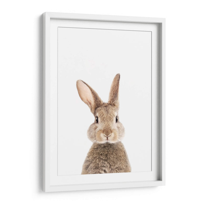 Bunny Front | Cuadro decorativo de Canvas Lab