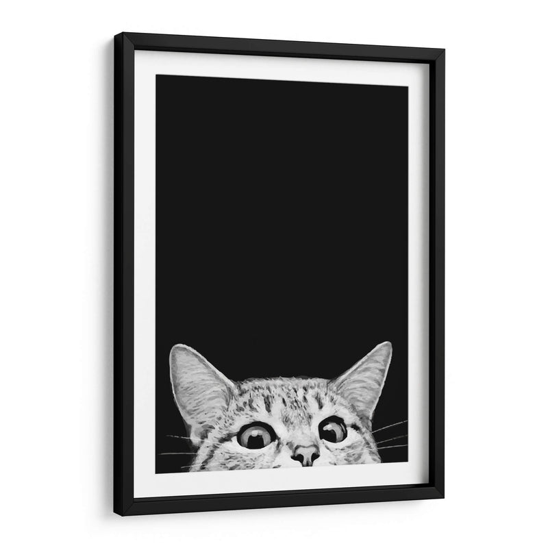Curious Cat Black | Cuadro decorativo de Canvas Lab