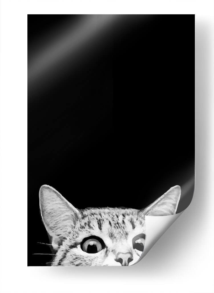 Curious Cat Black | Cuadro decorativo de Canvas Lab