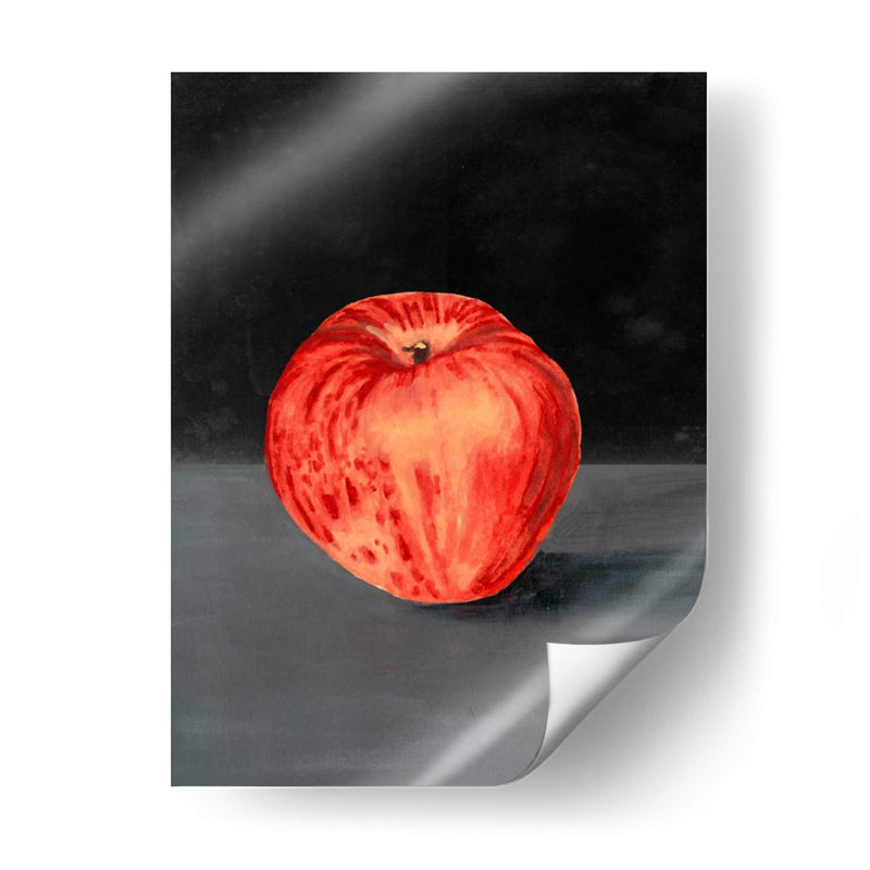 Fruta En El Estante I - Naomi McCavitt | Cuadro decorativo de Canvas Lab