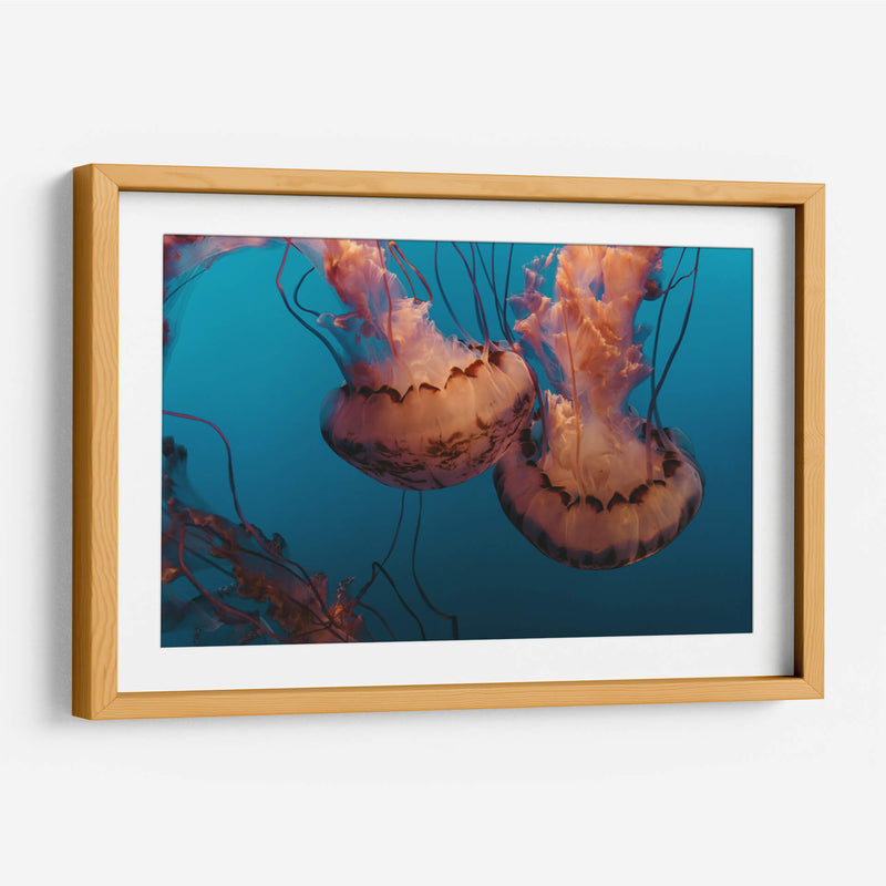 Baile de medusas | Cuadro decorativo de Canvas Lab