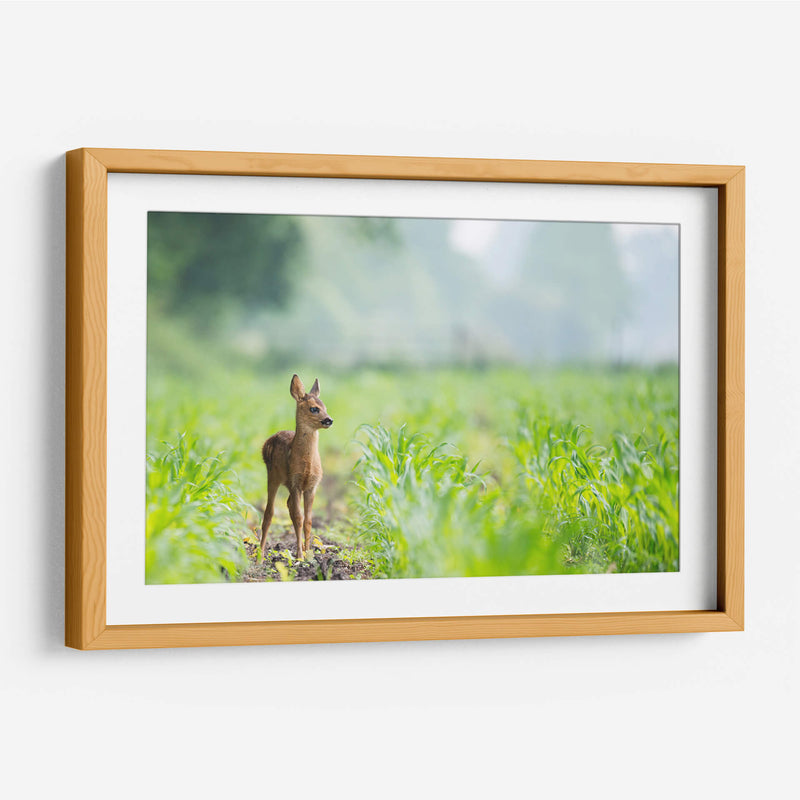 Bambi | Cuadro decorativo de Canvas Lab