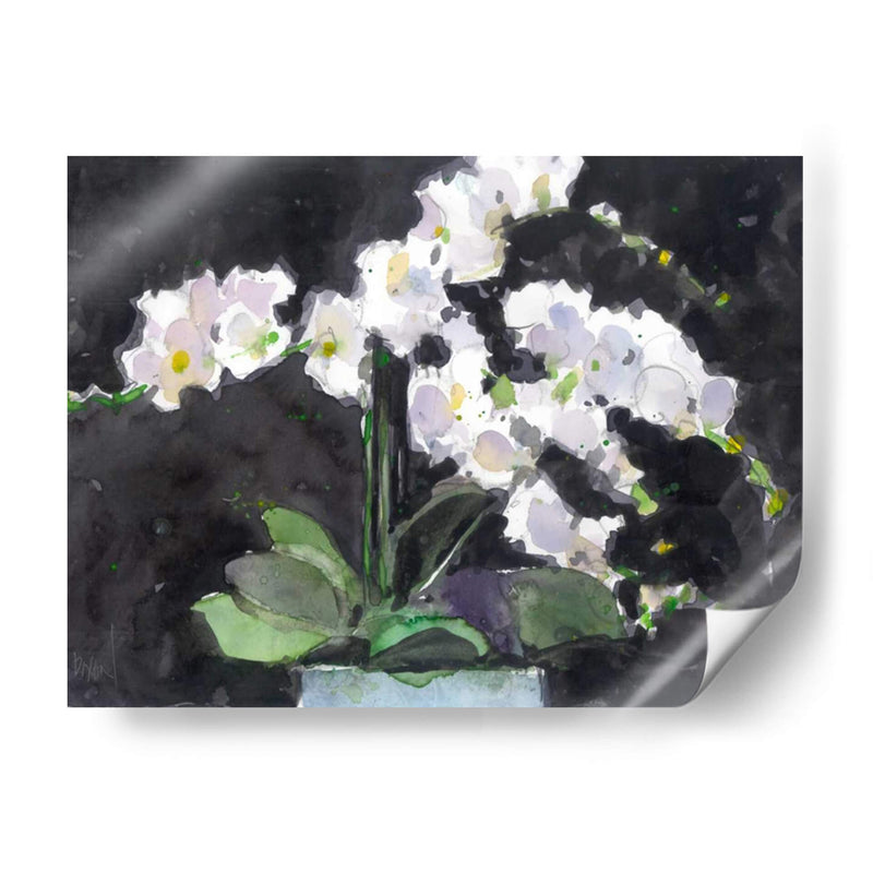Algo Floral Vii - Samuel Dixon | Cuadro decorativo de Canvas Lab