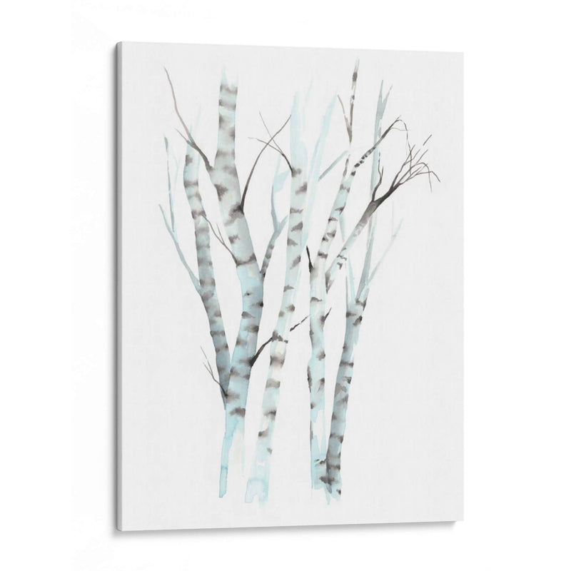 Aquarelle Birches Ii - Grace Popp | Cuadro decorativo de Canvas Lab