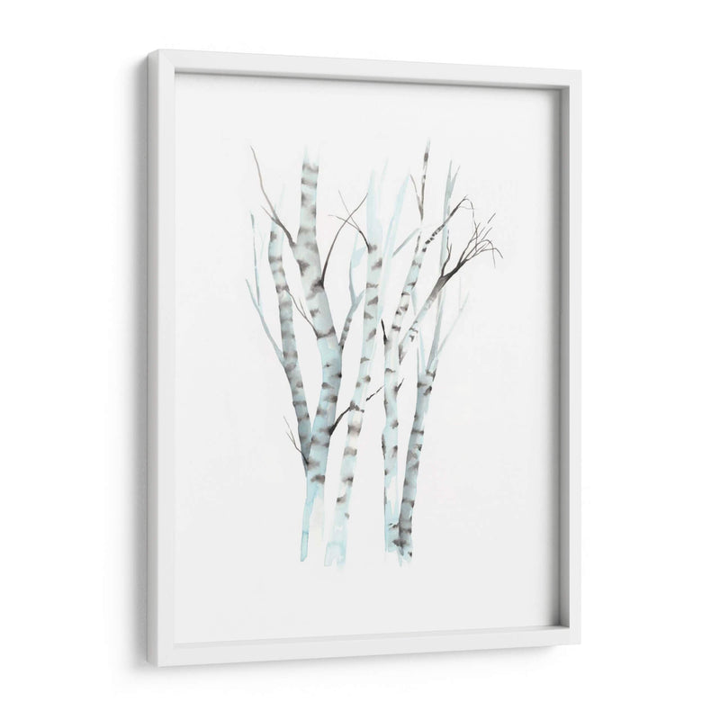 Aquarelle Birches Ii - Grace Popp | Cuadro decorativo de Canvas Lab