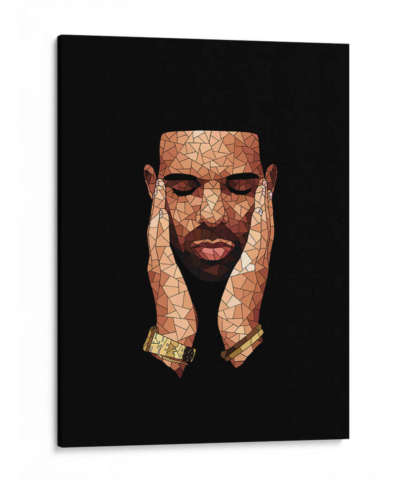 Drake mosaic | Cuadro decorativo de Canvas Lab