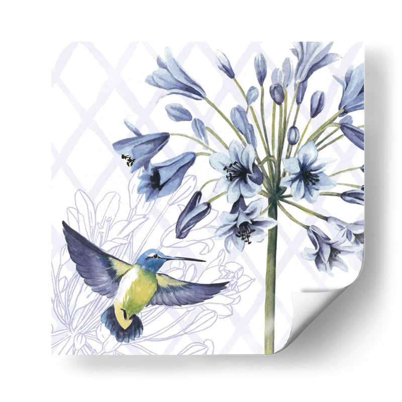 Hummingbird Dance Ii - Grace Popp | Cuadro decorativo de Canvas Lab