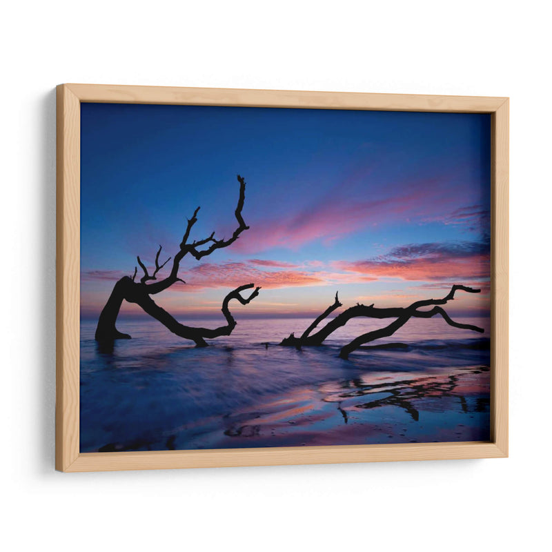 Playa De Driftwood - P.H. Burchett | Cuadro decorativo de Canvas Lab