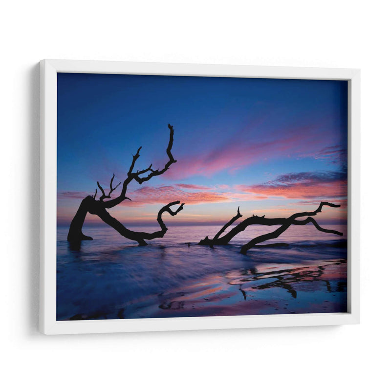 Playa De Driftwood - P.H. Burchett | Cuadro decorativo de Canvas Lab