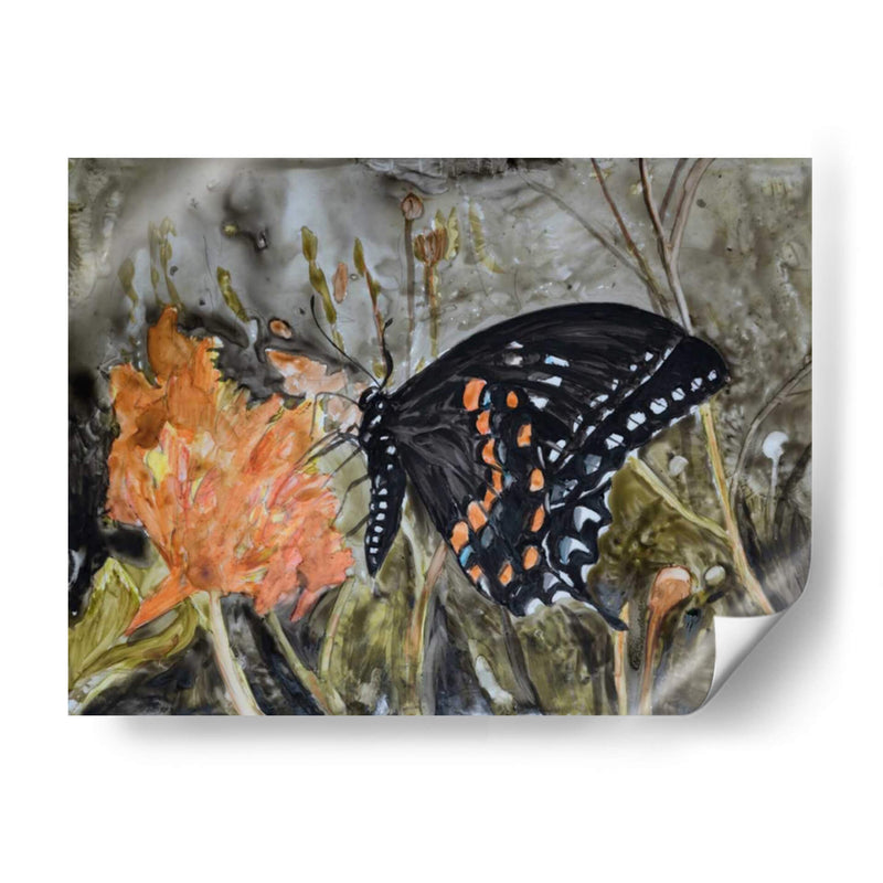 Mariposa En La Naturaleza Iv - B. Lynnsy | Cuadro decorativo de Canvas Lab