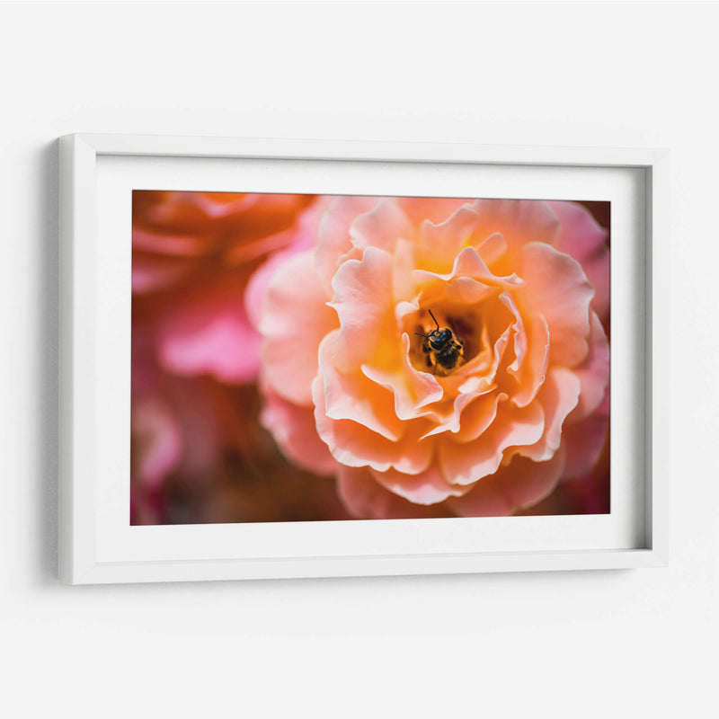 Blossom | Cuadro decorativo de Canvas Lab