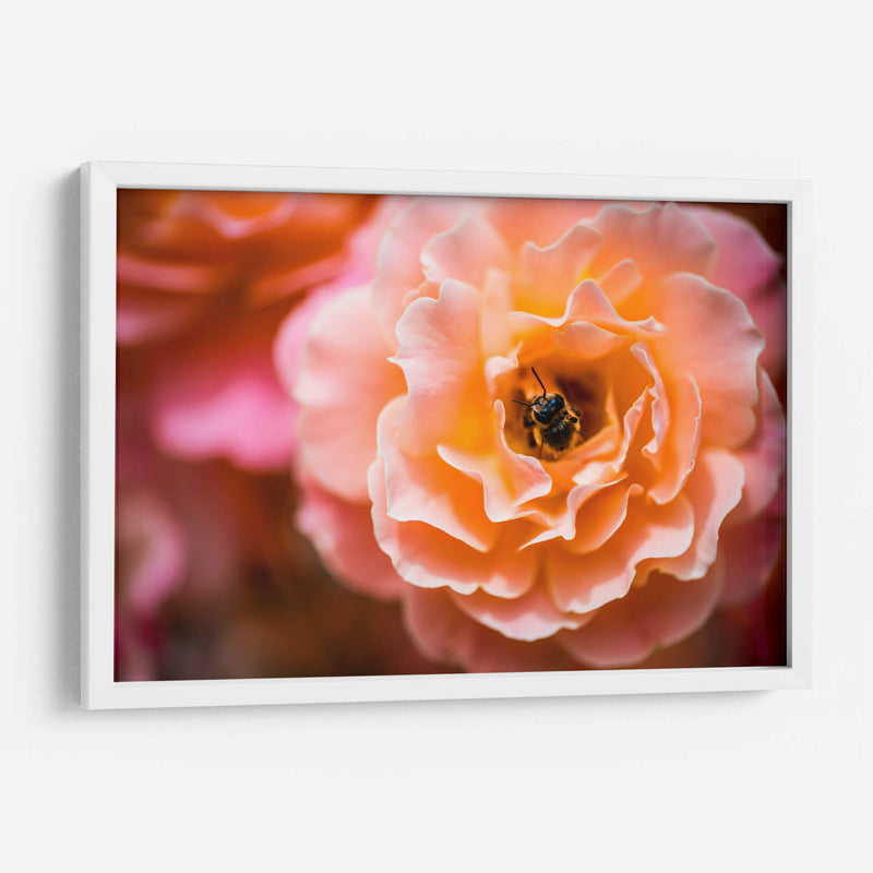 Blossom | Cuadro decorativo de Canvas Lab