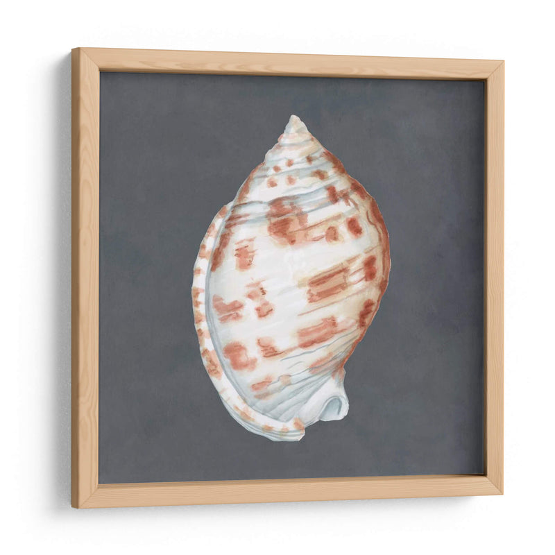 Shell En Pizarra I - Megan Meagher | Cuadro decorativo de Canvas Lab