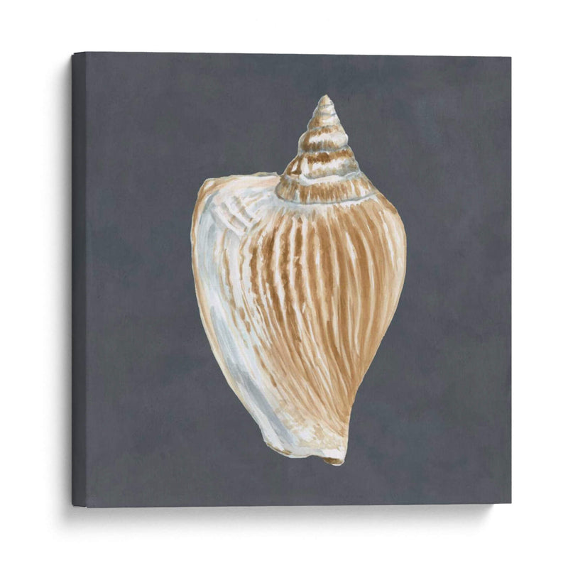 Shell En La Pizarra Vi - Megan Meagher | Cuadro decorativo de Canvas Lab