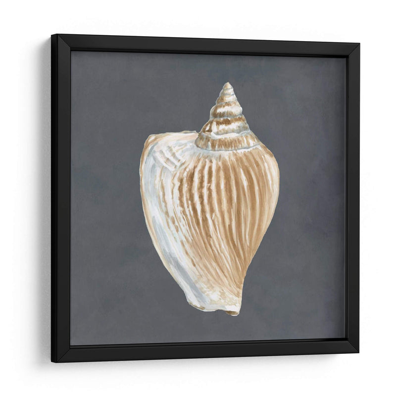 Shell En La Pizarra Vi - Megan Meagher | Cuadro decorativo de Canvas Lab