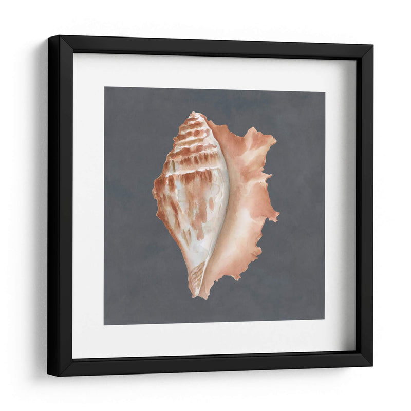 Shell On Slate Ix - Megan Meagher | Cuadro decorativo de Canvas Lab