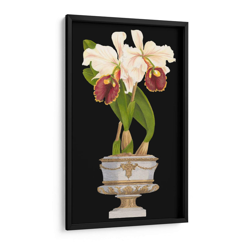 Orquídeas En Silver I - Vision Studio | Cuadro decorativo de Canvas Lab