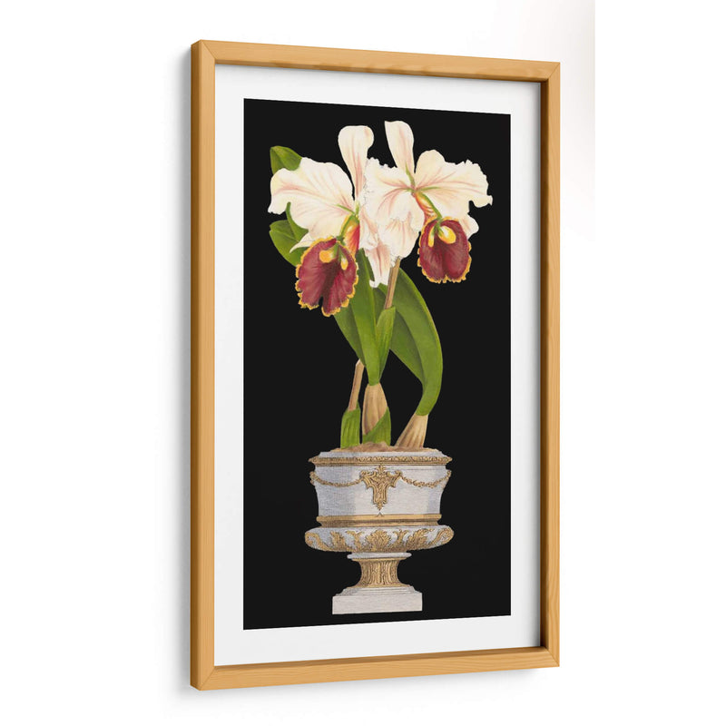 Orquídeas En Silver I - Vision Studio | Cuadro decorativo de Canvas Lab