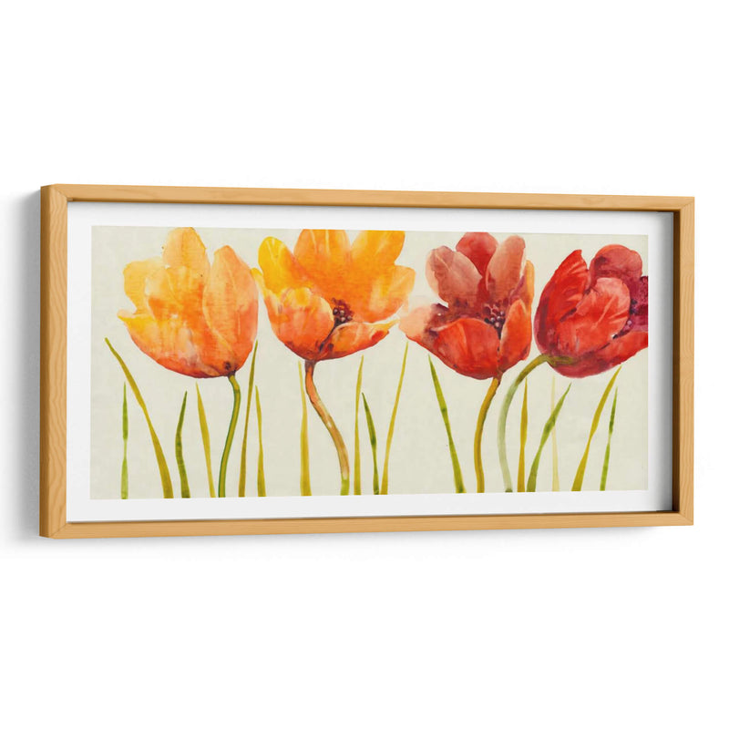 Fila De Tulipanes I - Tim OToole | Cuadro decorativo de Canvas Lab
