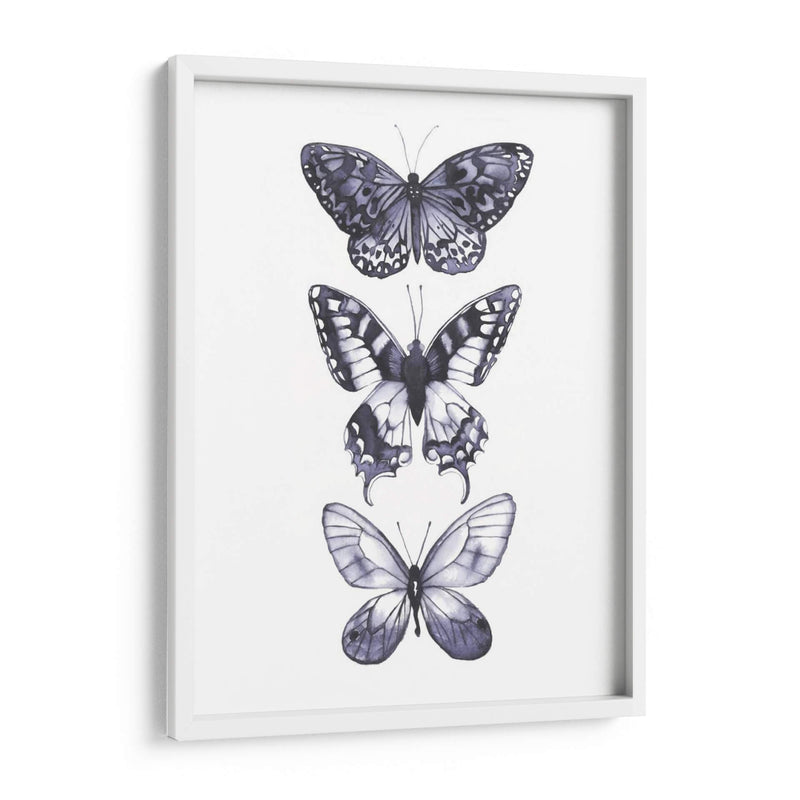 Mariposas Monocromáticas I - Grace Popp | Cuadro decorativo de Canvas Lab